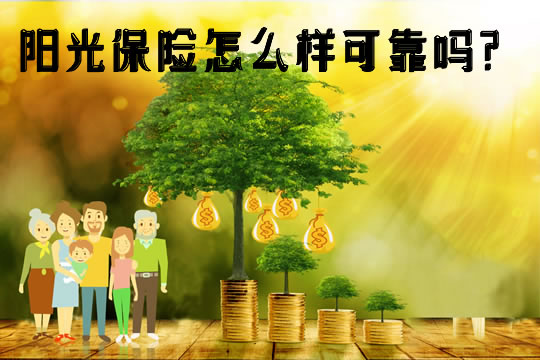 陽光保險(xiǎn)招聘信息詳解，如何把握機(jī)遇，成功入職陽光保險(xiǎn)？