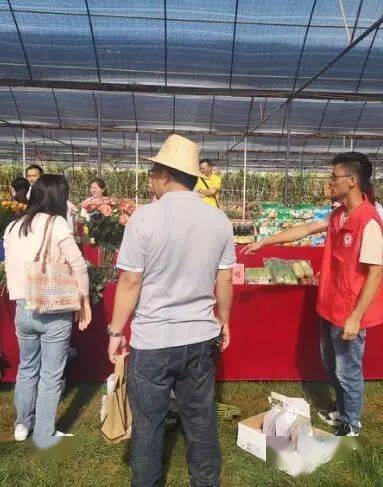 通海最新服務(wù)，溫馨日常故事啟程的起點