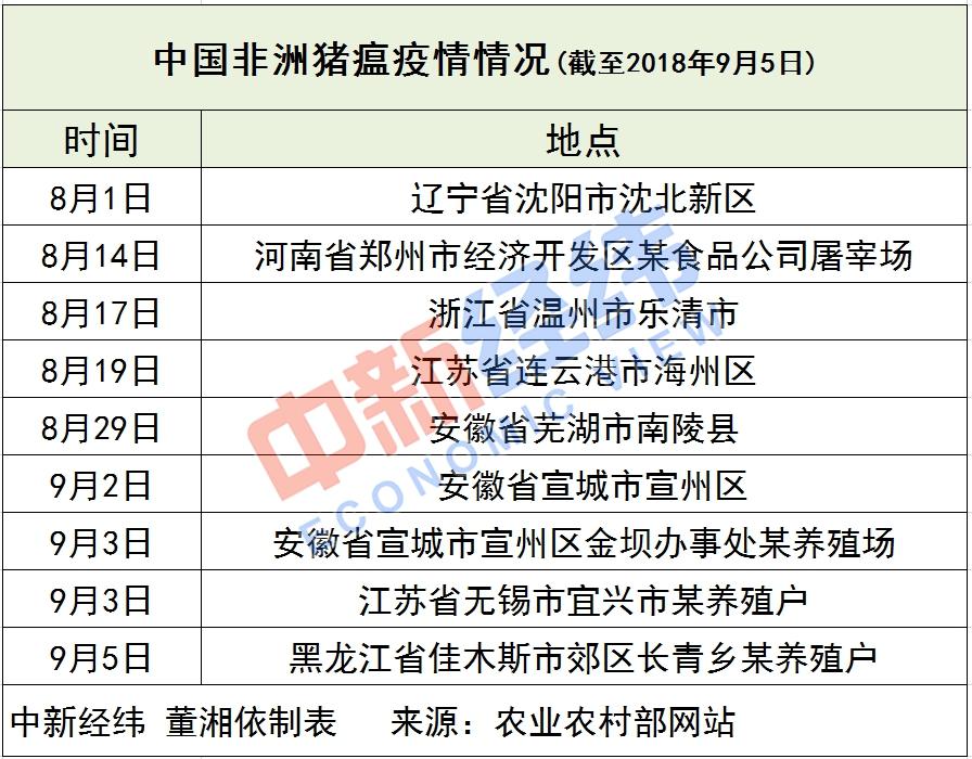 最新豬瘟新聞，全球防控形勢嚴峻，應(yīng)對策略揭秘