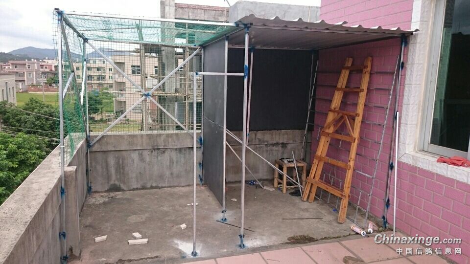 樓頂鴿棚搭建新圖，構(gòu)建理想鴿子家園
