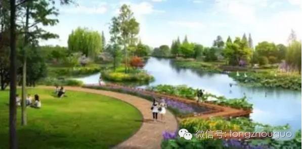 蕭太后河濱河綠廊最新，小巷里的意外發(fā)現(xiàn)與驚喜探索